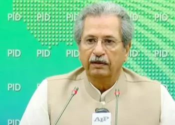 پی ٹی آئی رہنما شفقت محمود نے سیاست سے علیحدگی کا اعلان کر دیا