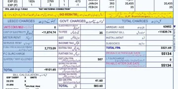 تمام ڈسکوز نے صارفین کو زائد بل بھیجا، نیپرا کا اعتراف