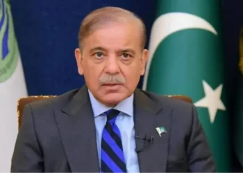 وزیر اعظم شہباز شریف کی ذاتی اور سیاسی زندگی