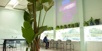 پاکستان نے اپنی پہلی "گرین ٹیک ہب" لانچ کرنے کا فیصلہ