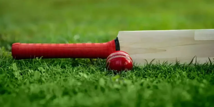 پاکستان اور جنوبی افریقہ کی خواتین کرکٹ ٹیموں کے درمیان ٹی ٹوئنٹی سیریز کا آغاز ہو گ