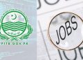 پنجاب جاب سینٹر میں 8 لاکھ ملازمت کے خواہشمند افراد رجسٹر