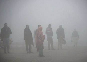 پاکستان میں سموگ ورلڈ وائلڈ لائف فنڈ کی ایمرجنسی نافذ کرنے کی اپیل