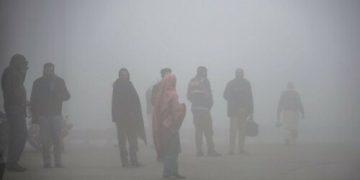 پاکستان میں سموگ ورلڈ وائلڈ لائف فنڈ کی ایمرجنسی نافذ کرنے کی اپیل