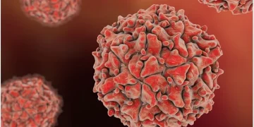 پاکستان میں پولیو کے کیسز کی تعداد 50 تک پہنچ گئی ہے