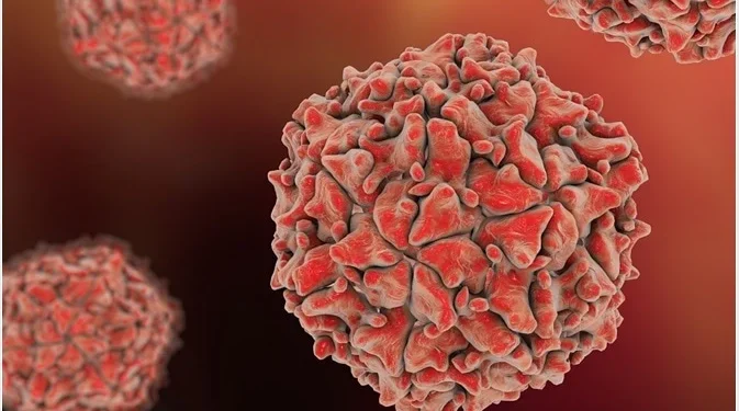 پاکستان میں پولیو کے کیسز کی تعداد 50 تک پہنچ گئی ہے