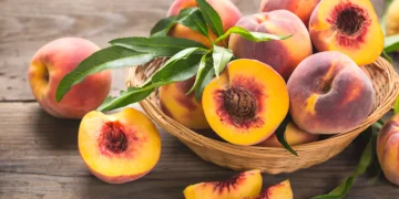 آڑو کے فوائد صحت کے خزانے سے بھرپور پھل