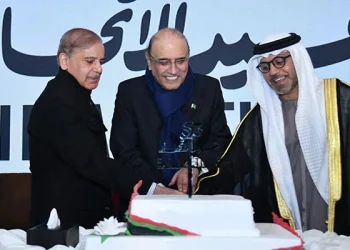 پاکستان یو اے ای تعلقات تجدیدی توانائی، ai، اور اقتصادی تعاون