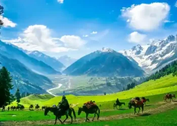 آزاد جموں و کشمیر کے رہائشیوں کے شناختی کارڈز سے ajk کا ذکر ہٹانے کے دعوے کی حقیقت