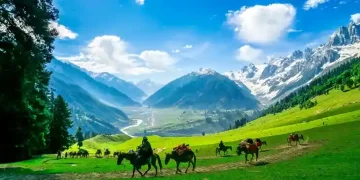 آزاد جموں و کشمیر کے رہائشیوں کے شناختی کارڈز سے ajk کا ذکر ہٹانے کے دعوے کی حقیقت