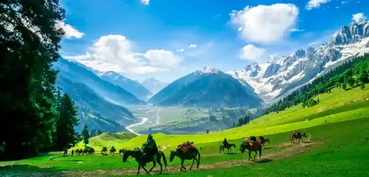 آزاد جموں و کشمیر کے رہائشیوں کے شناختی کارڈز سے ajk کا ذکر ہٹانے کے دعوے کی حقیقت