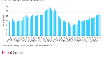pakistan official reserve assets