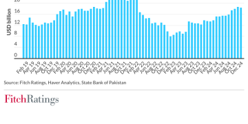 pakistan official reserve assets