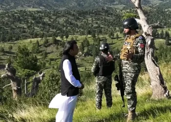 شمالی وزیرستان کے چلغوزے کے باغات کس کی ملکیت ہیں؟