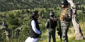 شمالی وزیرستان کے چلغوزے کے باغات کس کی ملکیت ہیں؟