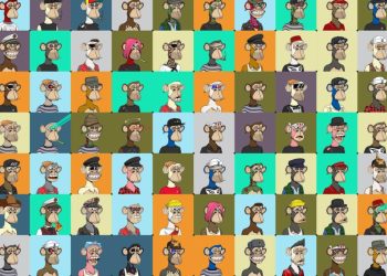 این ایف ٹی ٹریثر سنہری موقع یا خطرناک دھوکہ؟