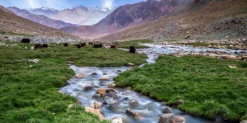 بھارت کے وزیر خارجہ کے آزاد جموں و کشمیر پر حالیہ بیانات