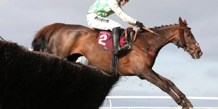 2025 گرینڈ نیشنل ریس