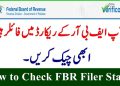 پاکستان میں فائلر اسٹیٹس چیک کرنے کا طریقہ
