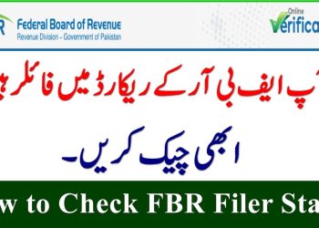 پاکستان میں فائلر اسٹیٹس چیک کرنے کا طریقہ