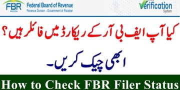 پاکستان میں فائلر اسٹیٹس چیک کرنے کا طریقہ