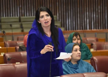 پی ٹی آئی رہنما عالیہ حمزہ کی گرفتاری، راولپنڈی میں فلسطین کے حق میں مظاہرہ کرنے کے بعد پولیس کارروائی