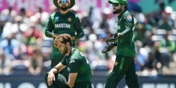 بی بی ایل 15 ڈرافٹ میں شاہین آفریدی اور محمد رضوان سمیت دیگر پاکستانی کھلاڑی شامل