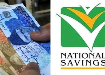 نیشنل سیونگز کی نئی منافع کی شرحیں