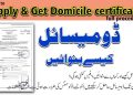 پاکستان میں ڈومیسائل سرٹیفکیٹ کیسے حاصل کریں؟