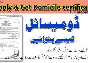 پاکستان میں ڈومیسائل سرٹیفکیٹ کیسے حاصل کریں؟