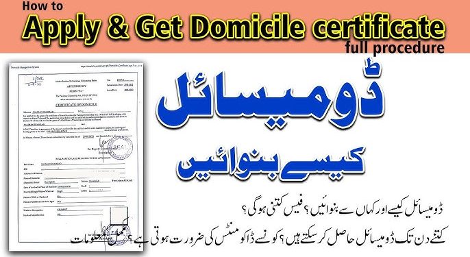 پاکستان میں ڈومیسائل سرٹیفکیٹ کیسے حاصل کریں؟