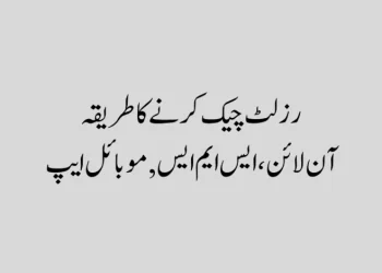 پنجاب بورڈز میٹرک رزلٹ چیک کرنے کا طریقہ