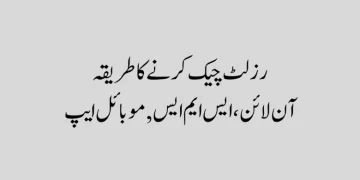 پنجاب بورڈز میٹرک رزلٹ چیک کرنے کا طریقہ