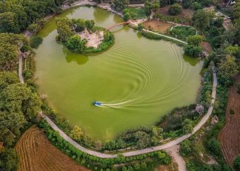 فیصل آباد کے 8 مشہور پارکس