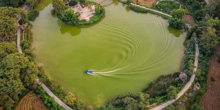 فیصل آباد کے 8 مشہور پارکس