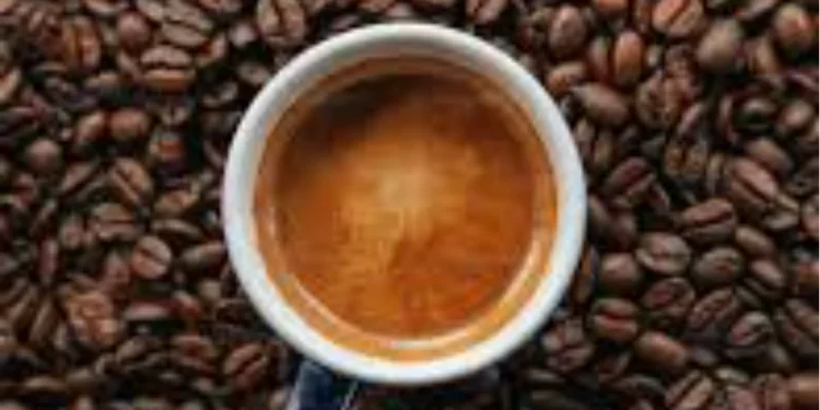 مردان کے 10 بہترین کیفے کھانے اور چائے کے شوقین افراد کے لیے مکمل رہنمائی