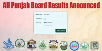 پنجاب کے تمام تعلیمی بورڈز نے 11ویں جماعت کے نتائج 2025 کا اعلان کر دیا