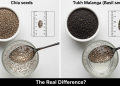 چیا سیڈز اور تخمِ ملنگا میں کیا فرق ہے؟