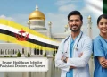 برونائی ہیلتھ کیئر جابز برائے پاکستانی ڈاکٹروں اور نرسز
