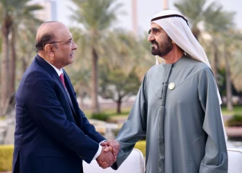 صدر زرداری کی متحدہ عرب امارات نائب صدر سے ملاقات، تجارت و سرمایہ کاری میں اضافے پر گفتگو