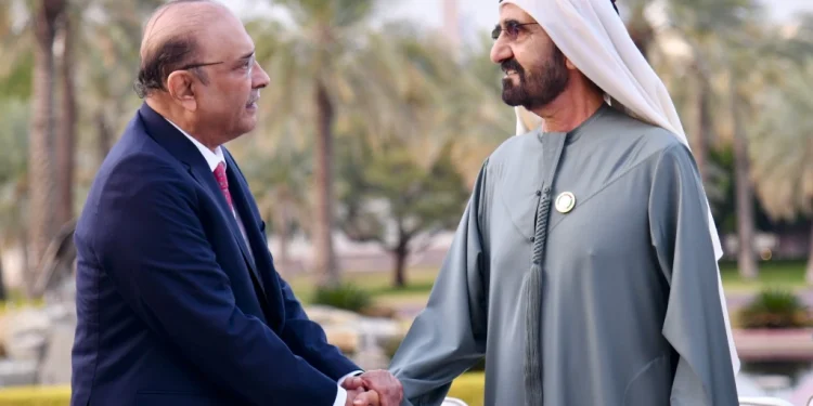 صدر زرداری کی متحدہ عرب امارات نائب صدر سے ملاقات، تجارت و سرمایہ کاری میں اضافے پر گفتگو