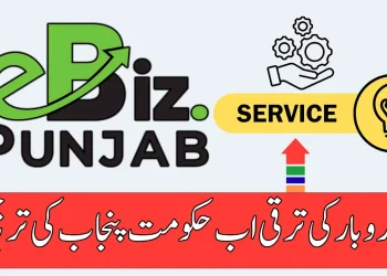 پنجاب ای-بز پورٹل آن لائن سروسز