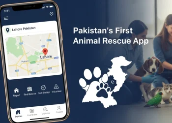 پاکستان کی پہلی 'اینیمل ریسکیو ایپ' جانوروں کی جان بچانے کے لیے تیار