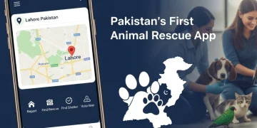 پاکستان کی پہلی 'اینیمل ریسکیو ایپ' جانوروں کی جان بچانے کے لیے تیار