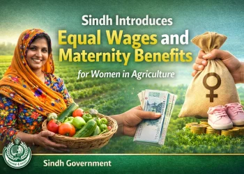 سندھ نے زراعت میں خواتین کے لیے مساوی اجرت اور زچگی کے فوائد متعارف کرا دیے
