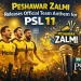 پشاور زلمی نے پی ایس ایل 11 کے لیے اپنا آفیشل ترانہ ریلیز کر دیا
