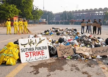 ستھرا پنجاب ہڑتال