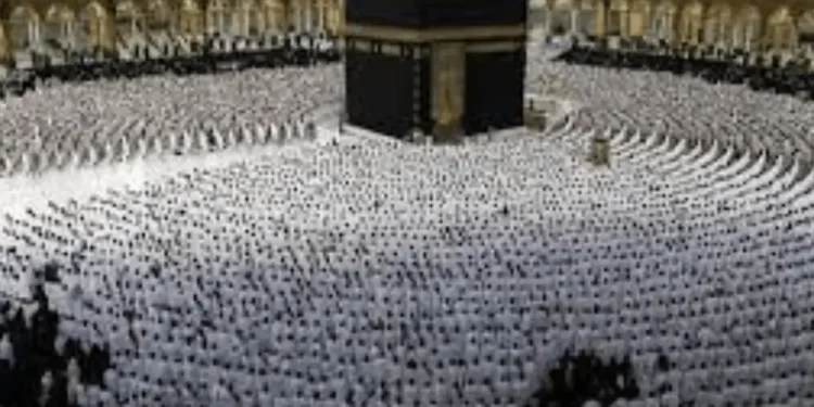 حجاج کے لیے مفت سم کارڈ 2026