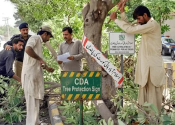 اسلام آباد ہائی کورٹ، درختوں کی کٹائی پر پابندی