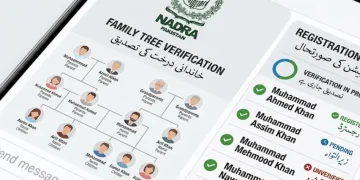 نادرا فیملی ٹری کی تصدیق